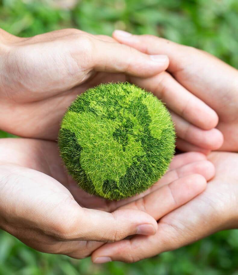 about-us-image-11-2x